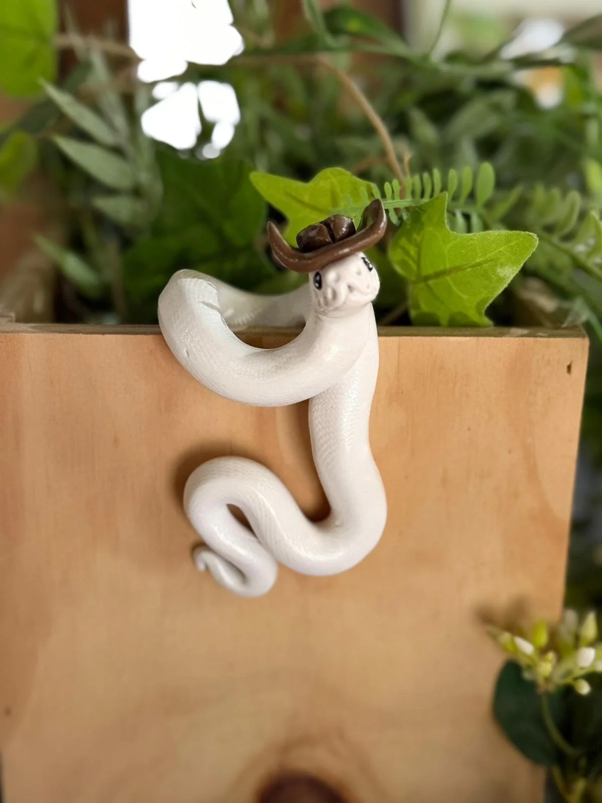 WhatsApp Image 2025-10-28 at 12.34.53 PM (1).jpeg