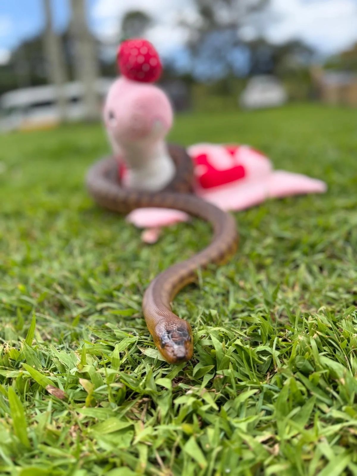 WhatsApp Image 2025-11-18 at 12.49.05 PM.jpeg