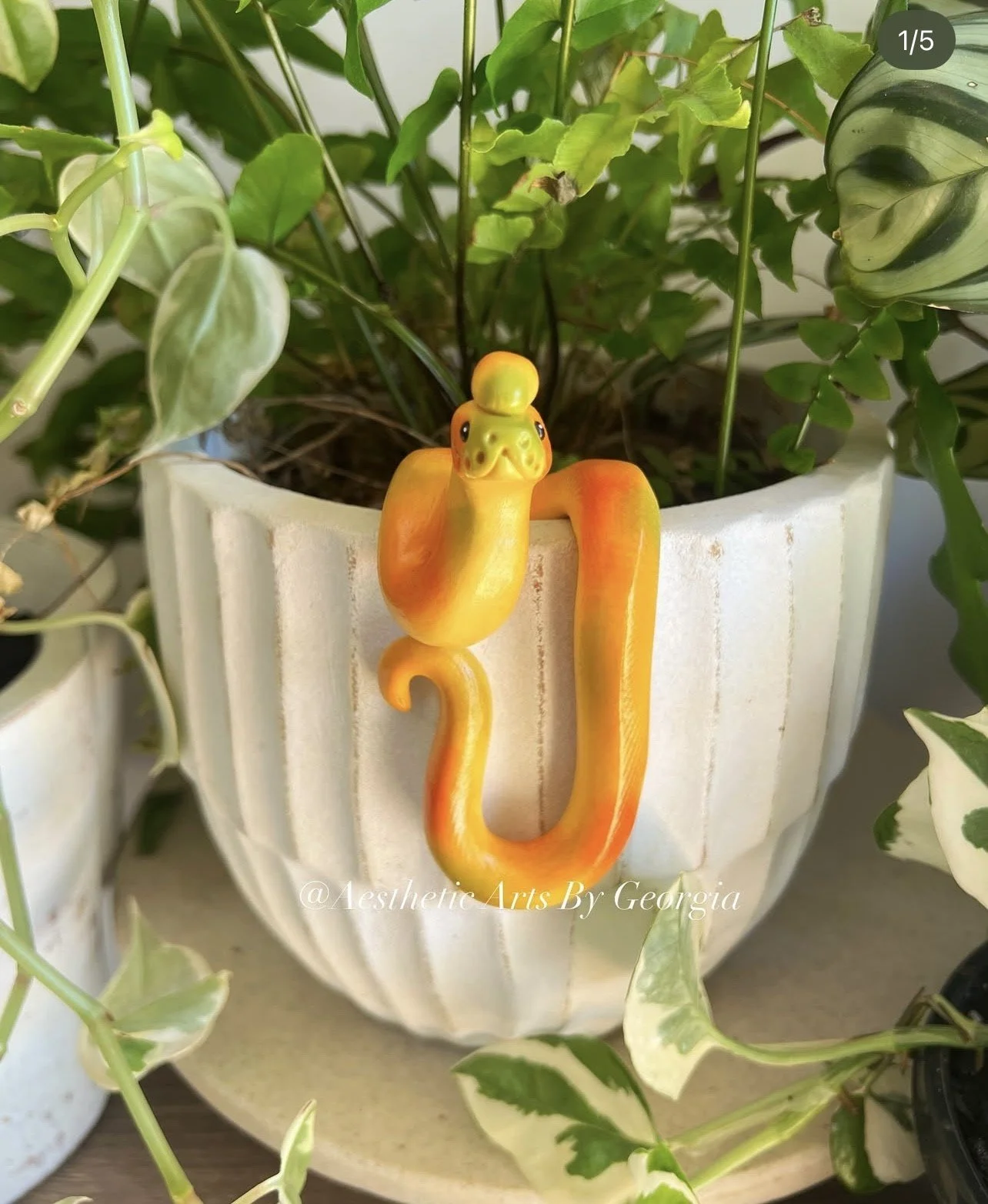 Mango noodle, potted plant hanger by Aesthetic Arts by Georgia