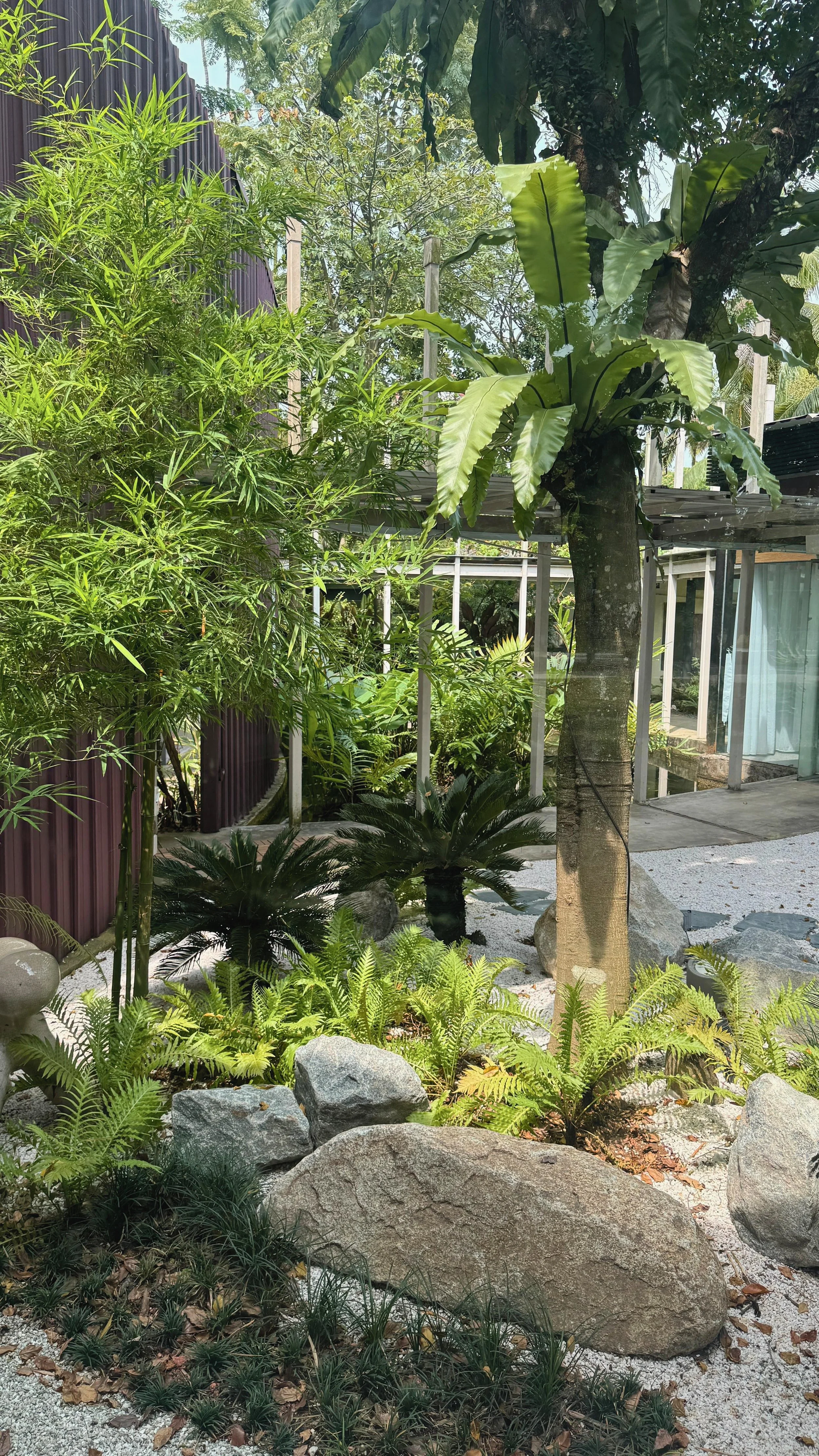 A lush garden with various green plants, trees, rocks, and a modern building with glass and metal elements in the background.