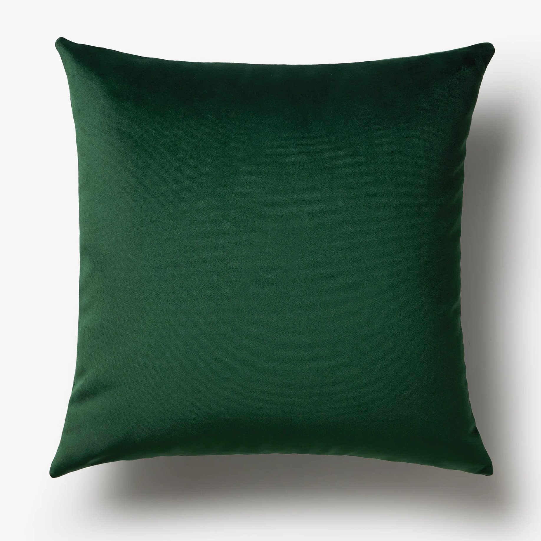 Hailey 20'' x 20'' Green Velvet Throw Pillow 01.jpg
