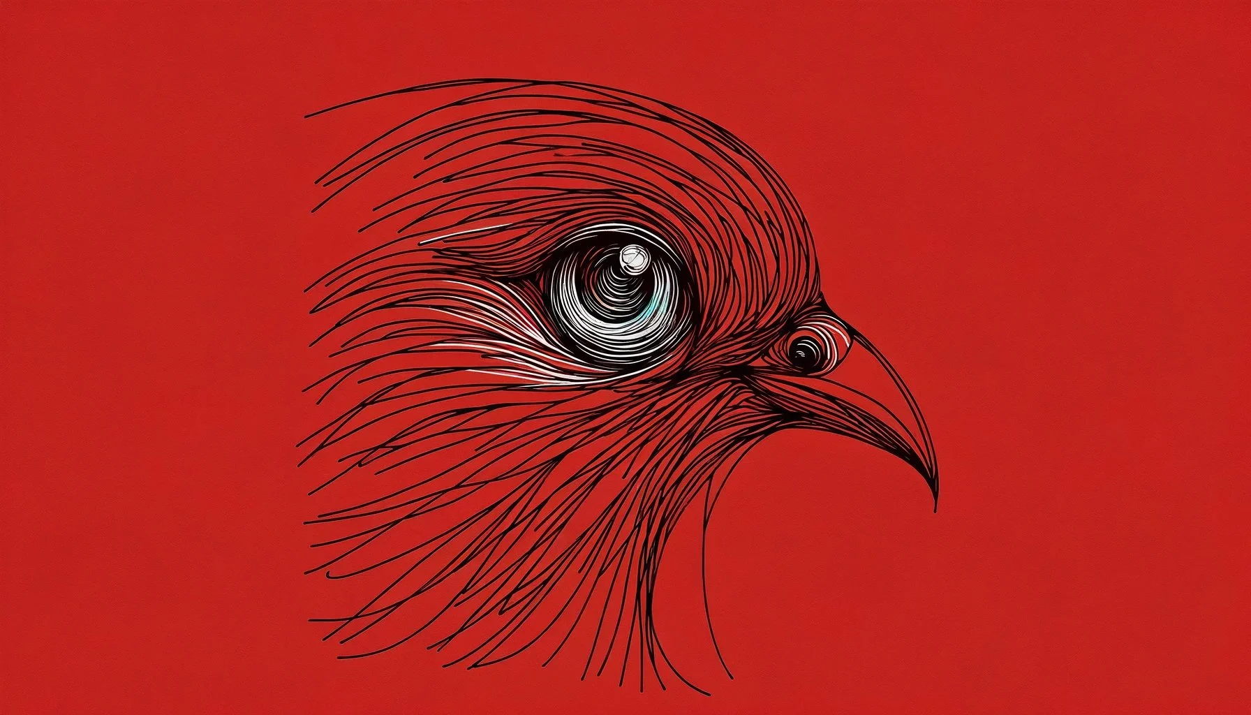 Le regard de l’oiseau
