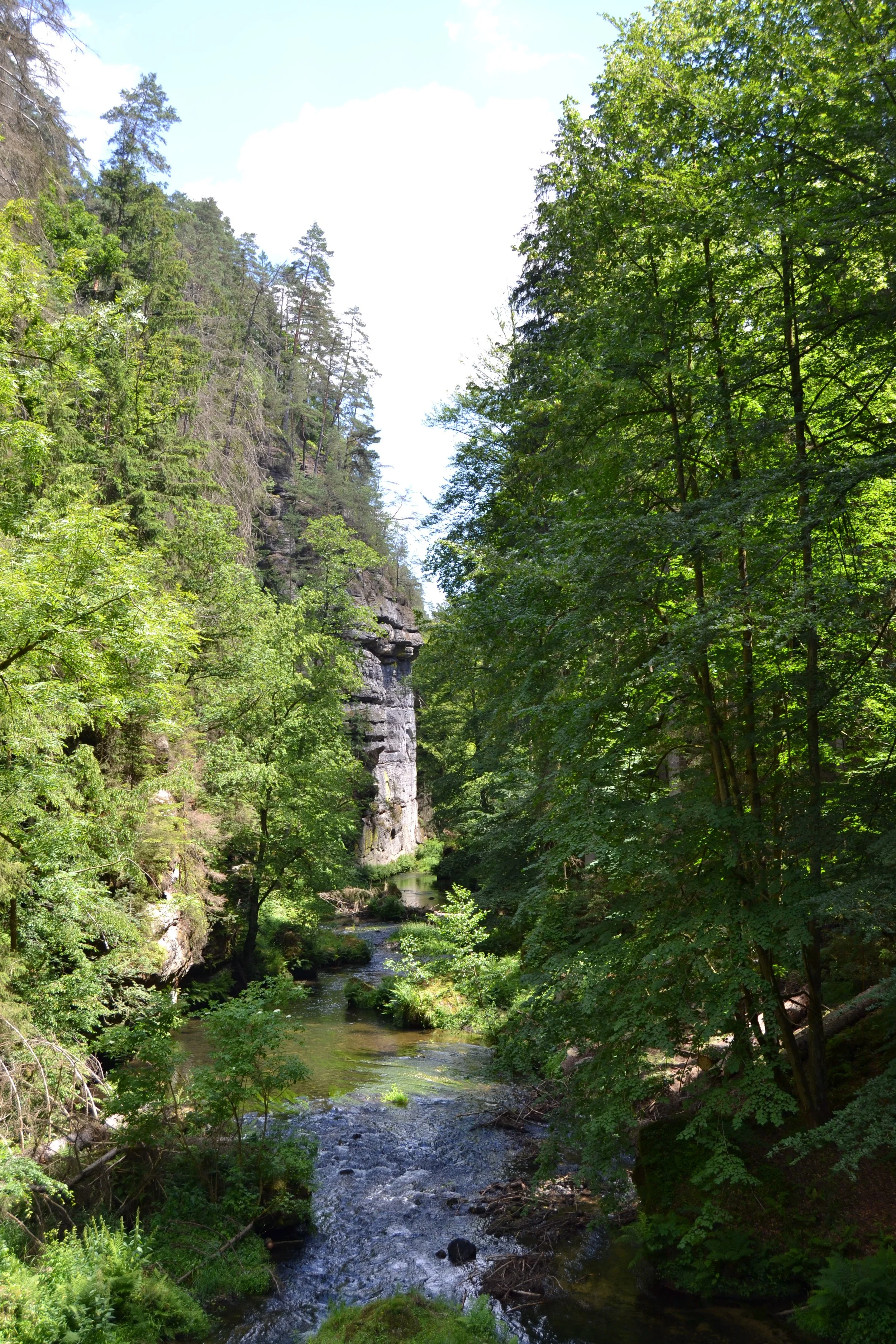 Le parc de la Bohème