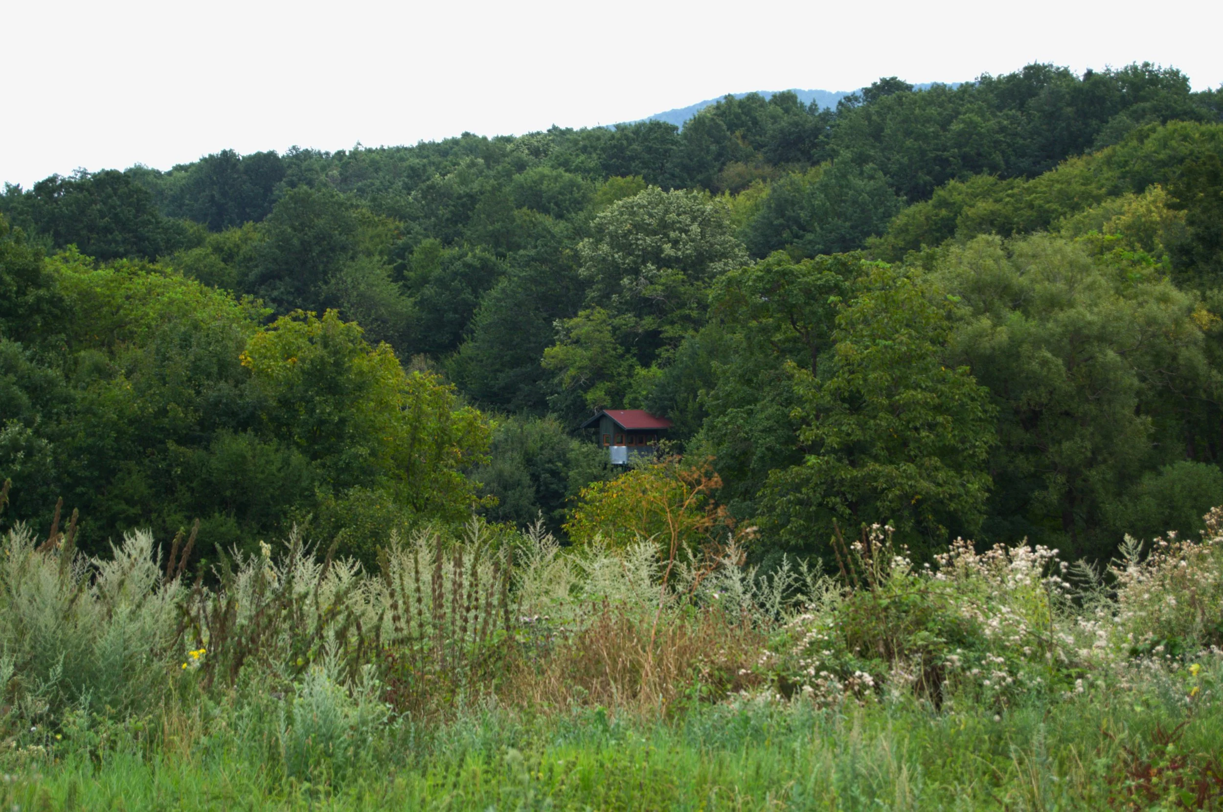Stefanov