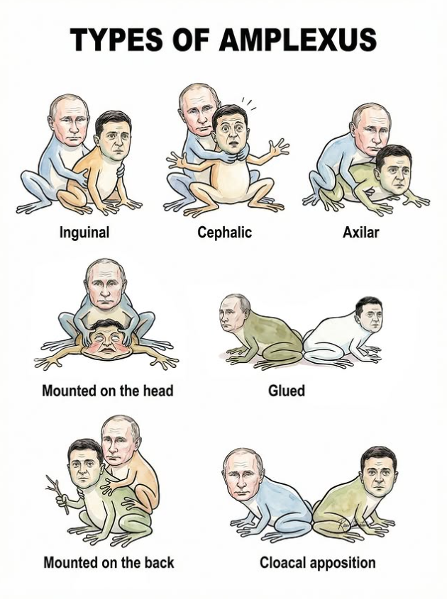 Putin &amp; Zelenskyy's Unfertile Amplexus