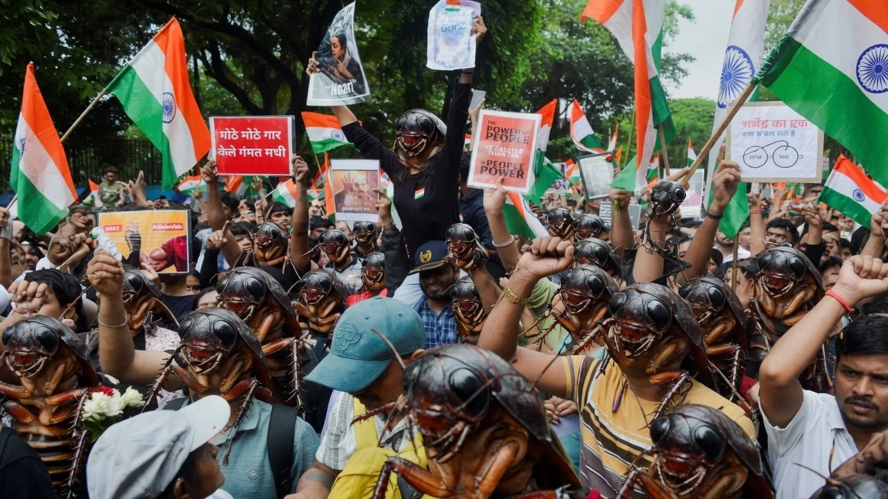 Cockroaches of the Subcontinent