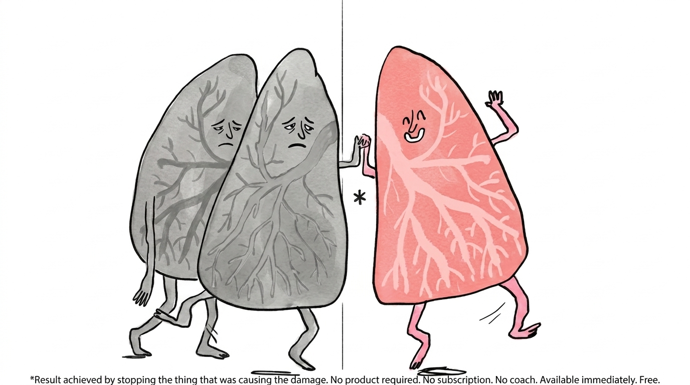 A satirical health illustration showing a "before and after" comparison of lungs. On the left, gray and slumped lungs; on the right, pink dancing lungs.