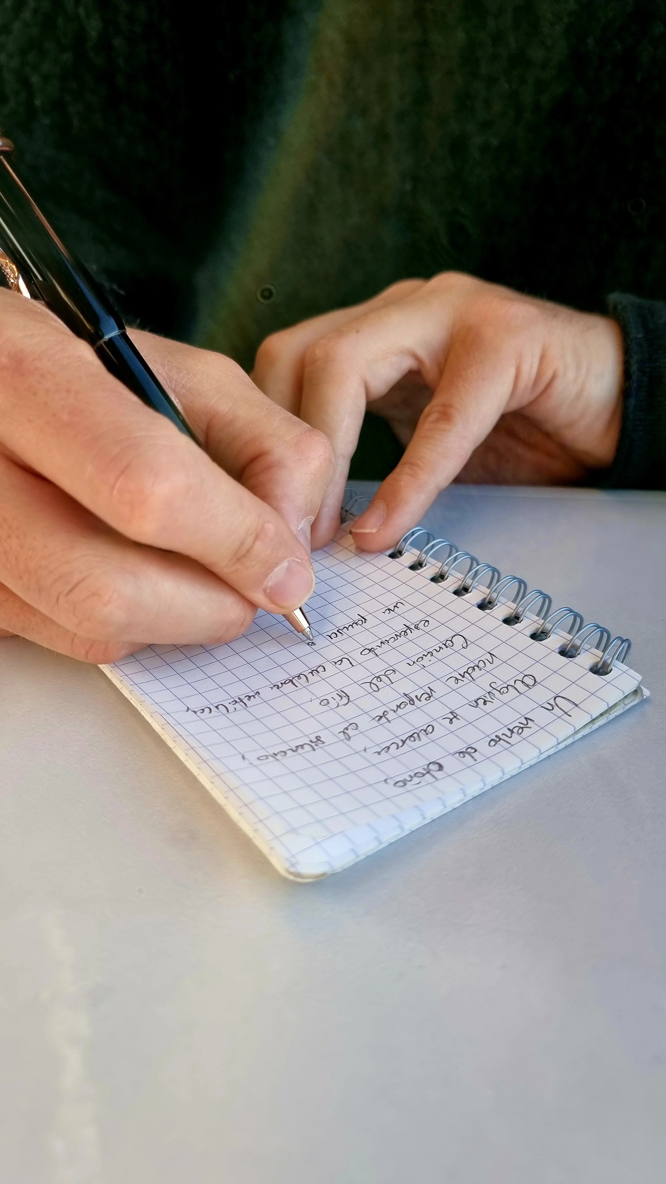 An artist is writing a poem, while travelling by train.