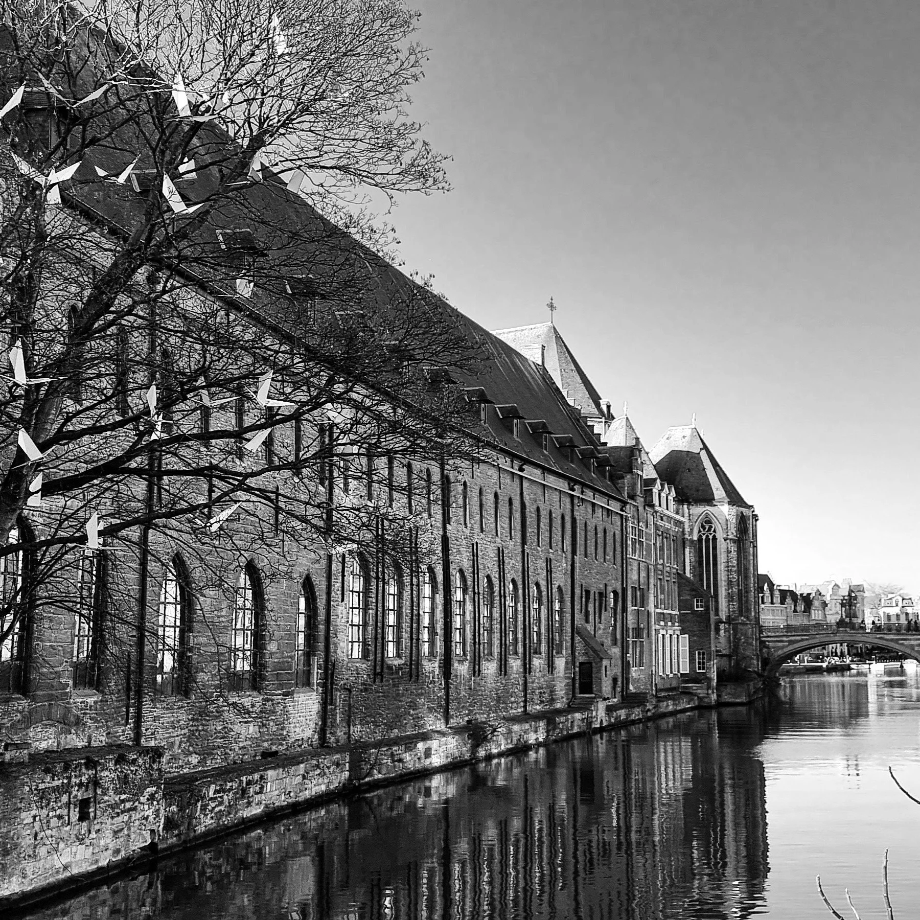 Photo of the Lys river, downtown Ghent.