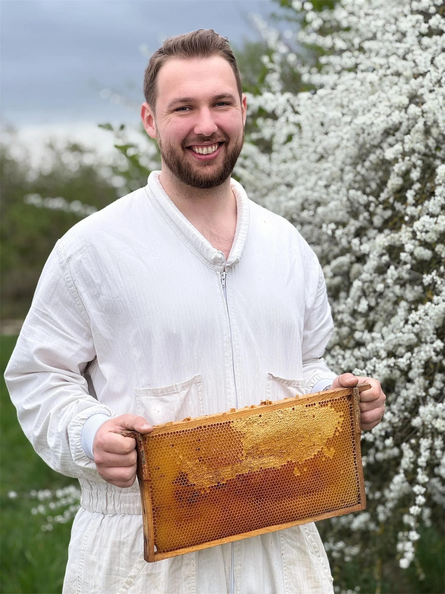 Imkermeister Johannes Fähnle hält eine Bienenwabe vor einem blühenden Baum im Frühling.