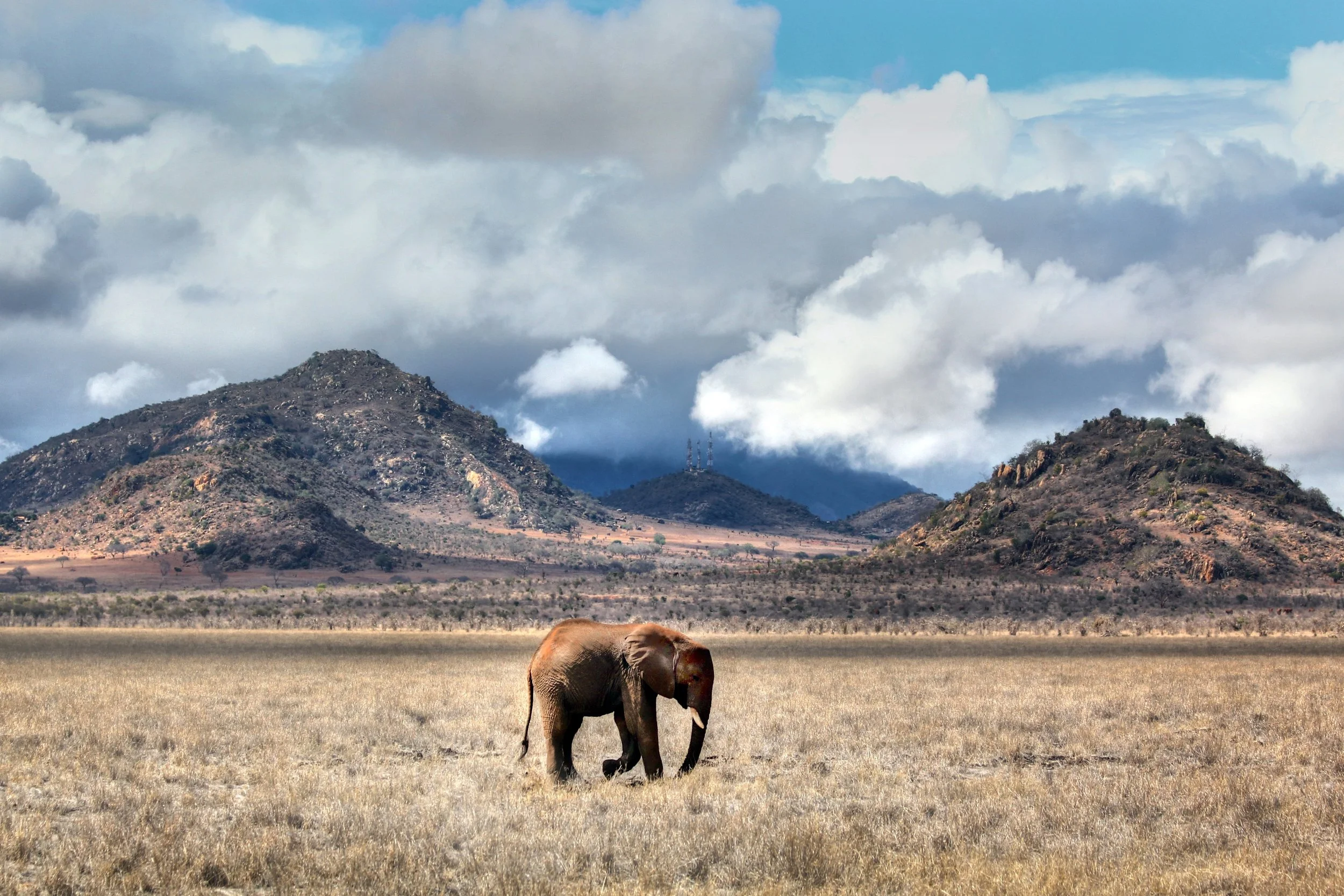 ellie kenya_2541110401 (Custom).jpg