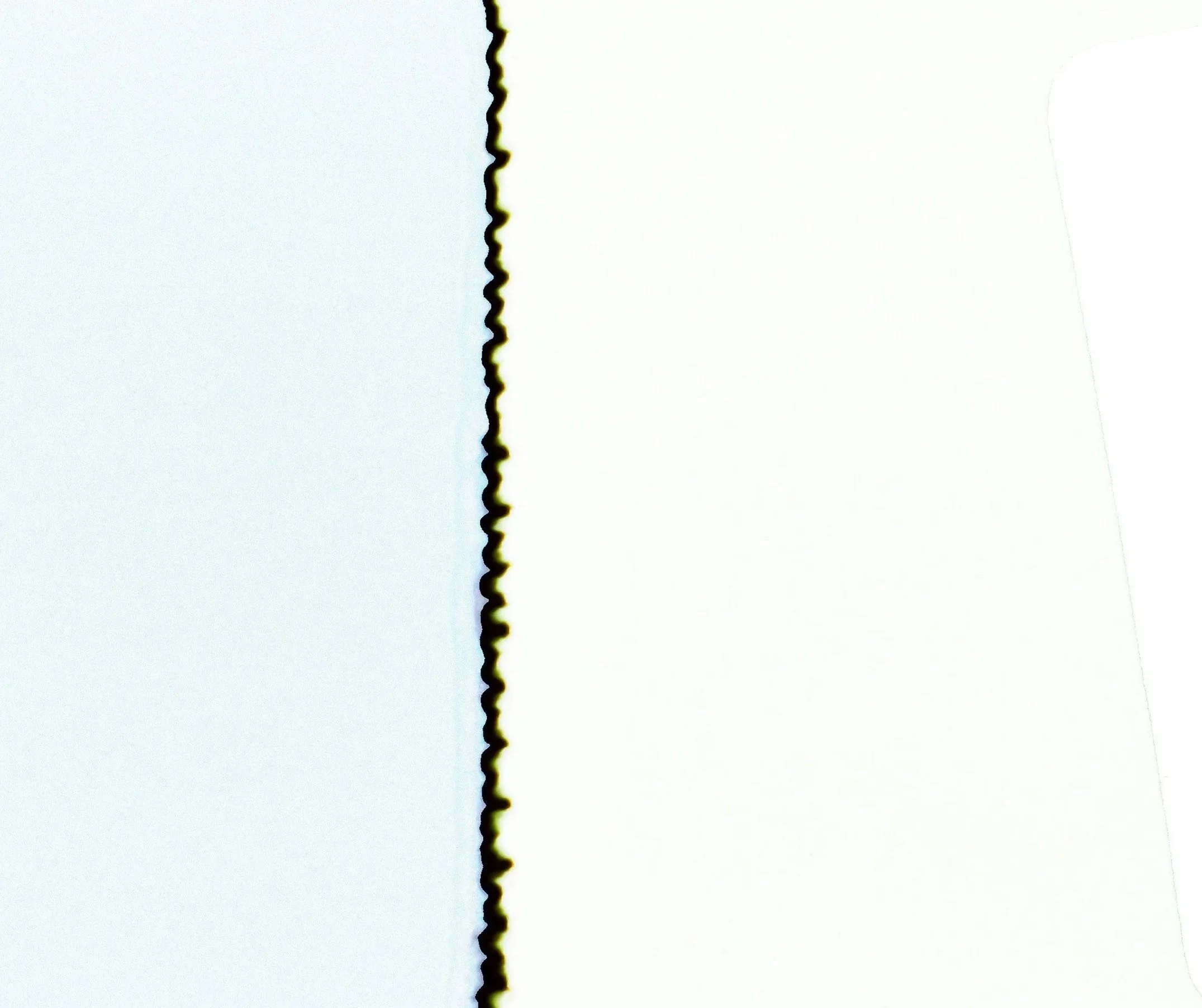 New Face- Elena Dakota