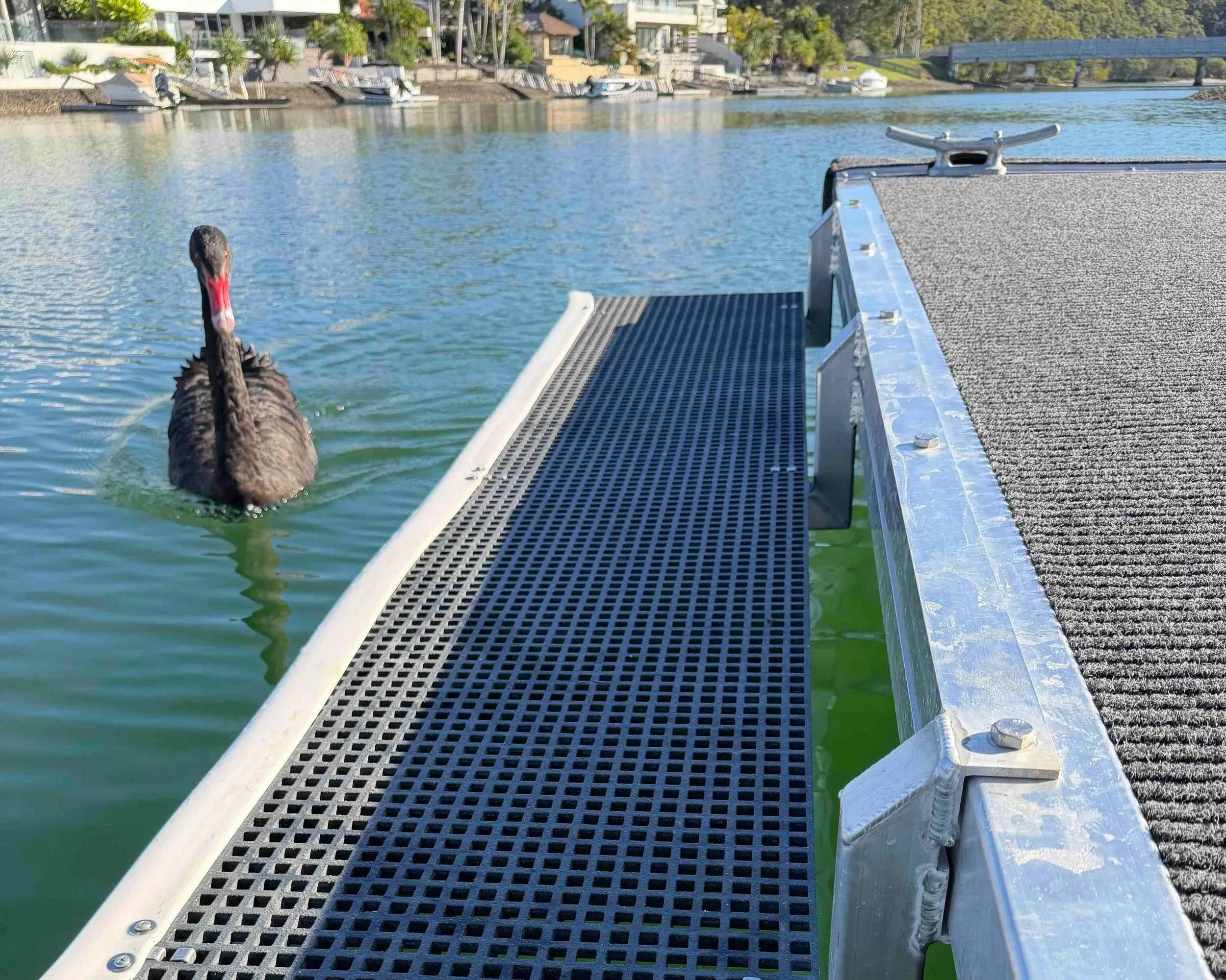kayak+step.jpg