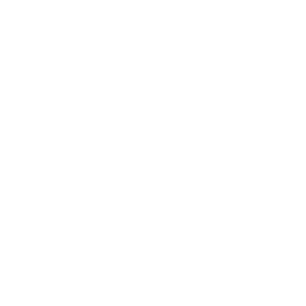 Step 5 icon