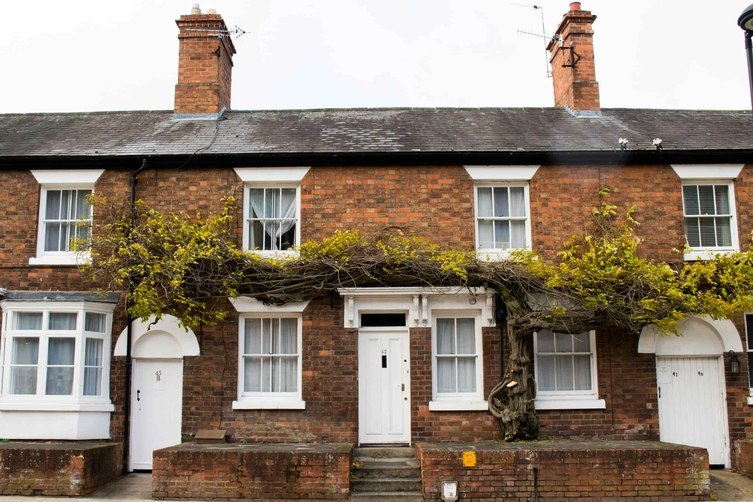 Houses & Family Homes