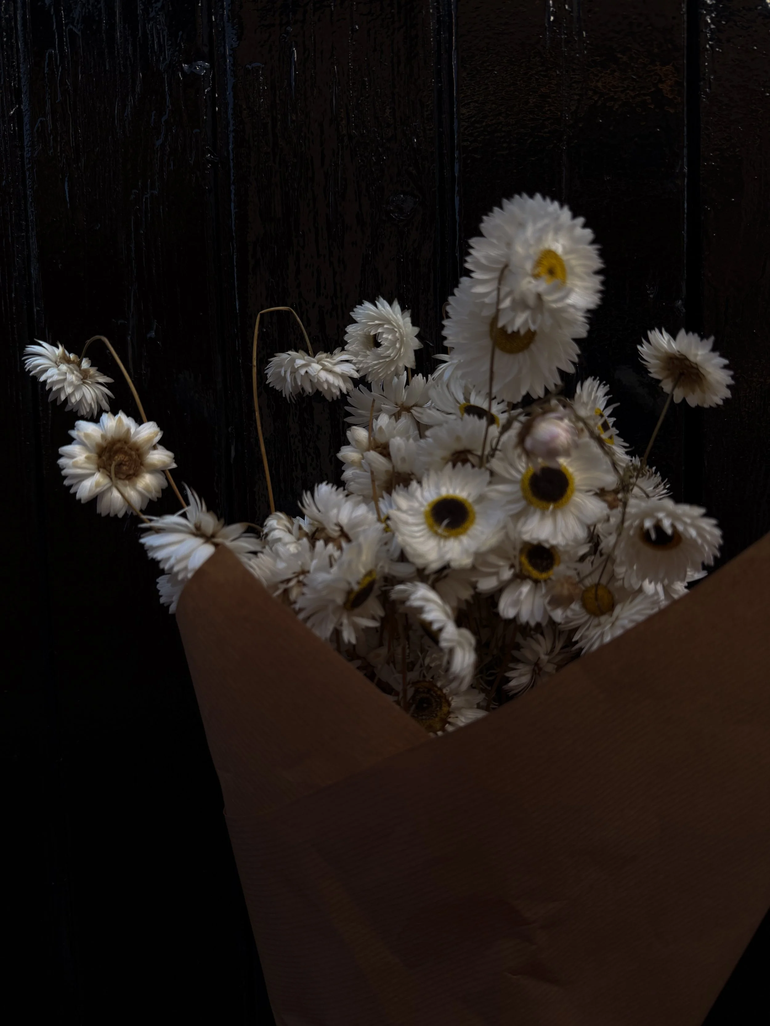 WHITE DRIED ACROCLINIUM BOUQUET (Copy)