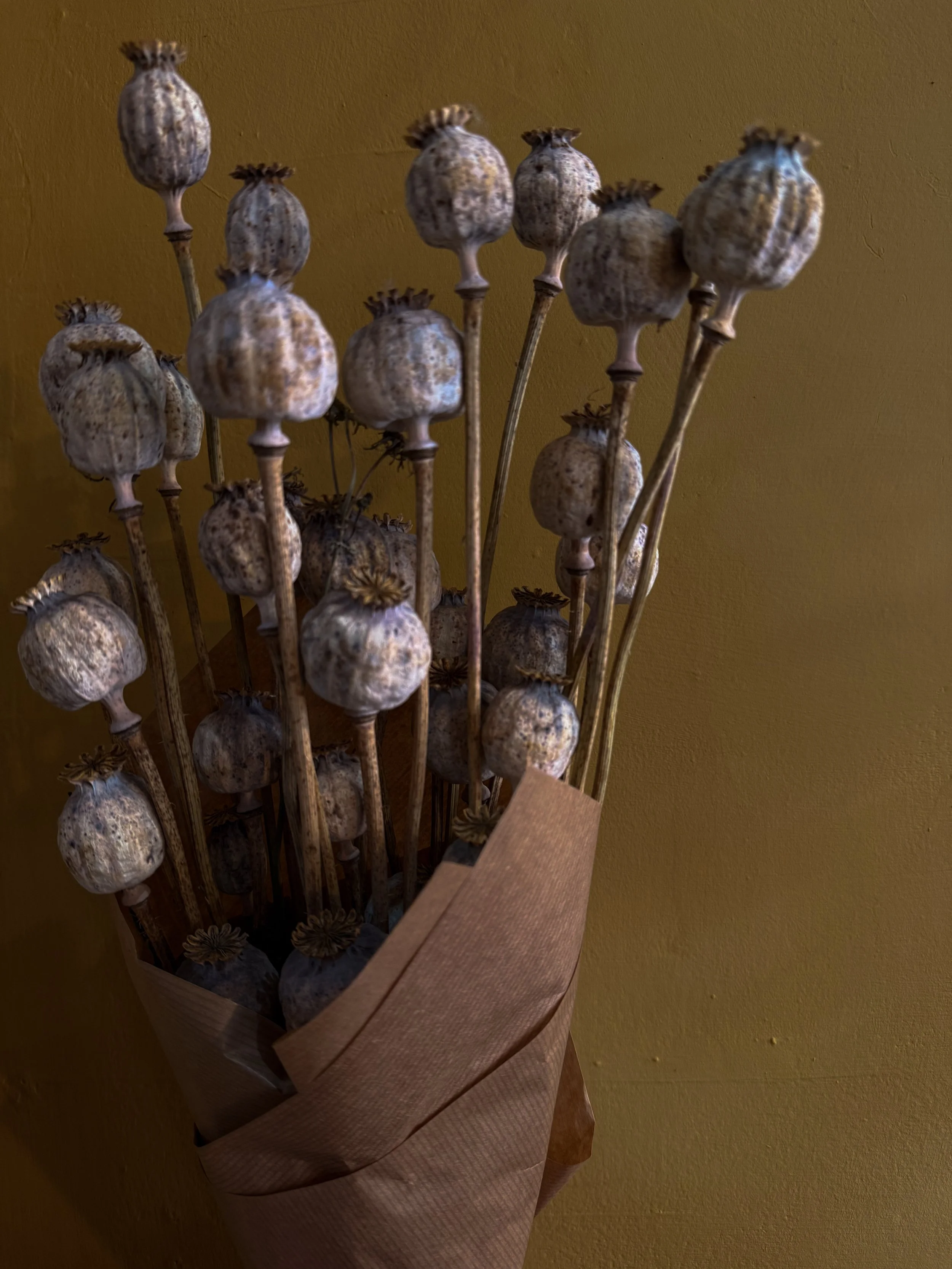 DRIED POPPY HEAD BOUQUET