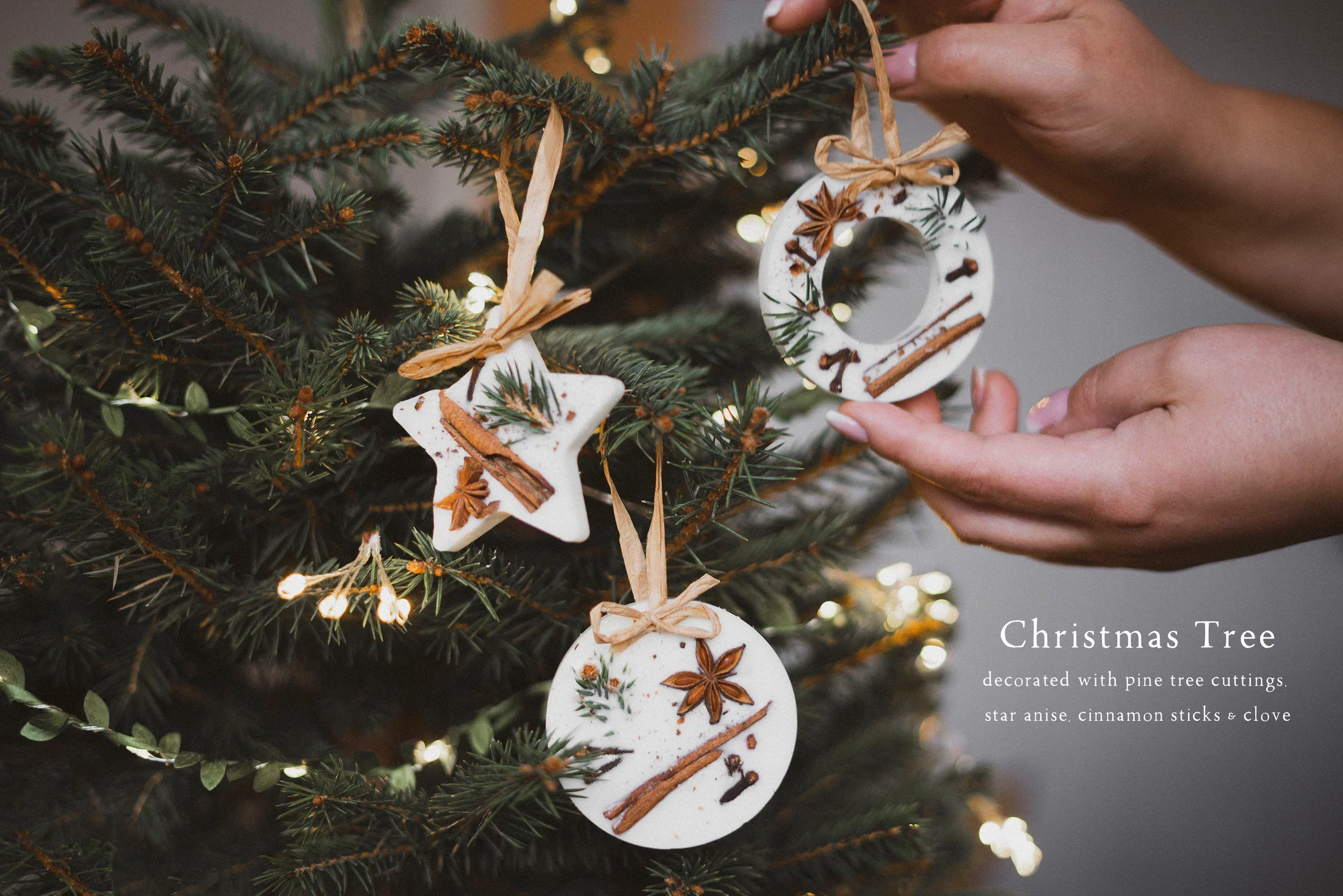 christmastree1.jpg.webp