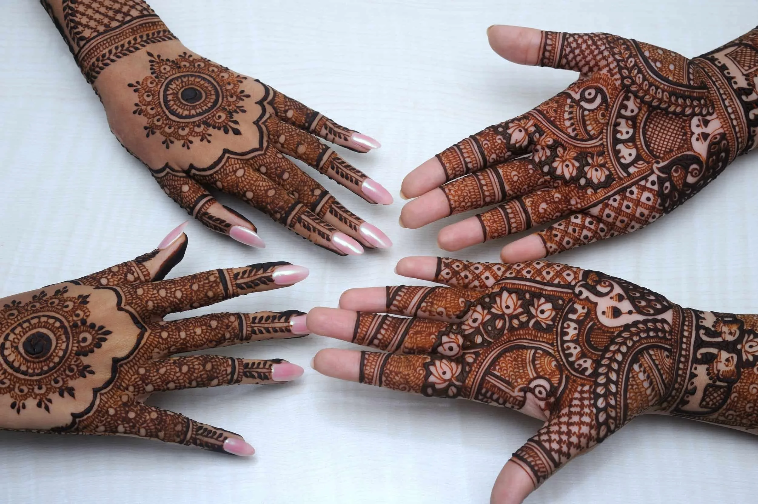 Mehndi celebrations as guests show there mehndi