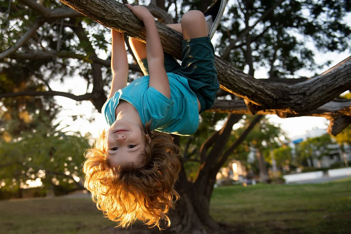 Child hanging upside down from a tree branch in a park, smiling
