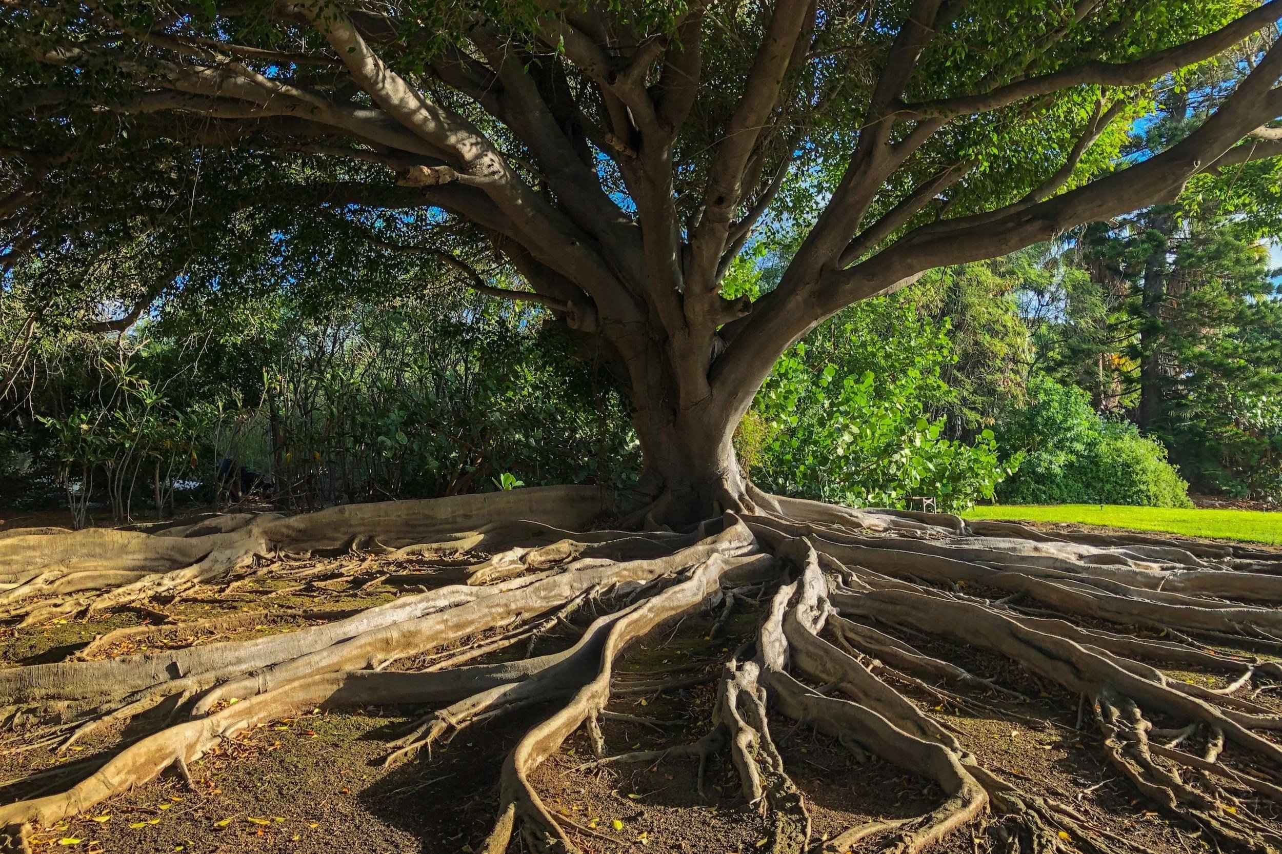 Embed: Making change stick