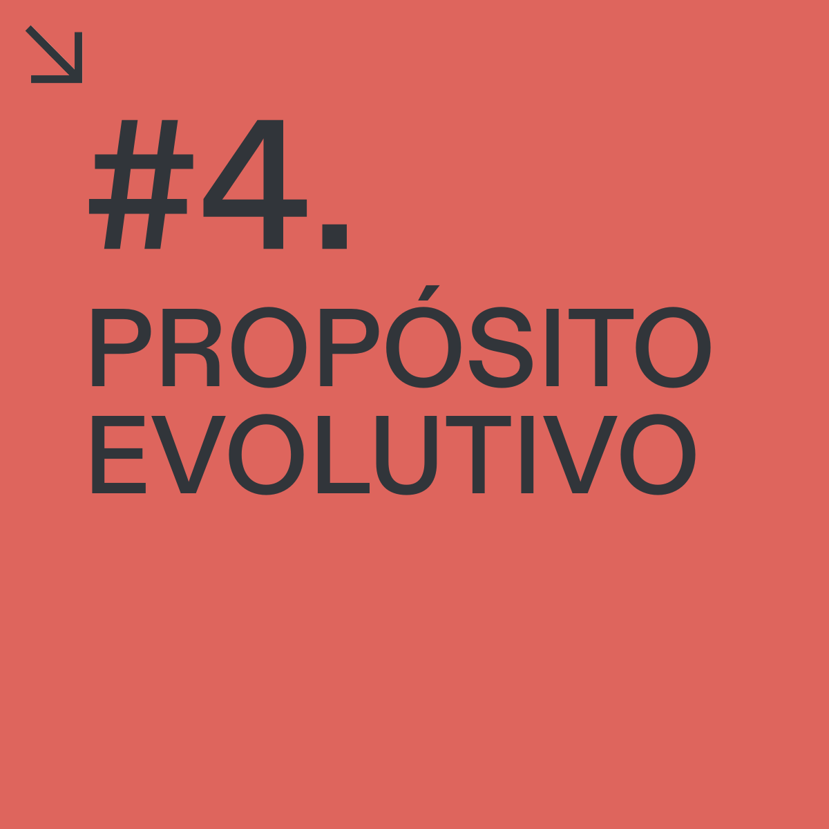 #4. Propósito evolutivo