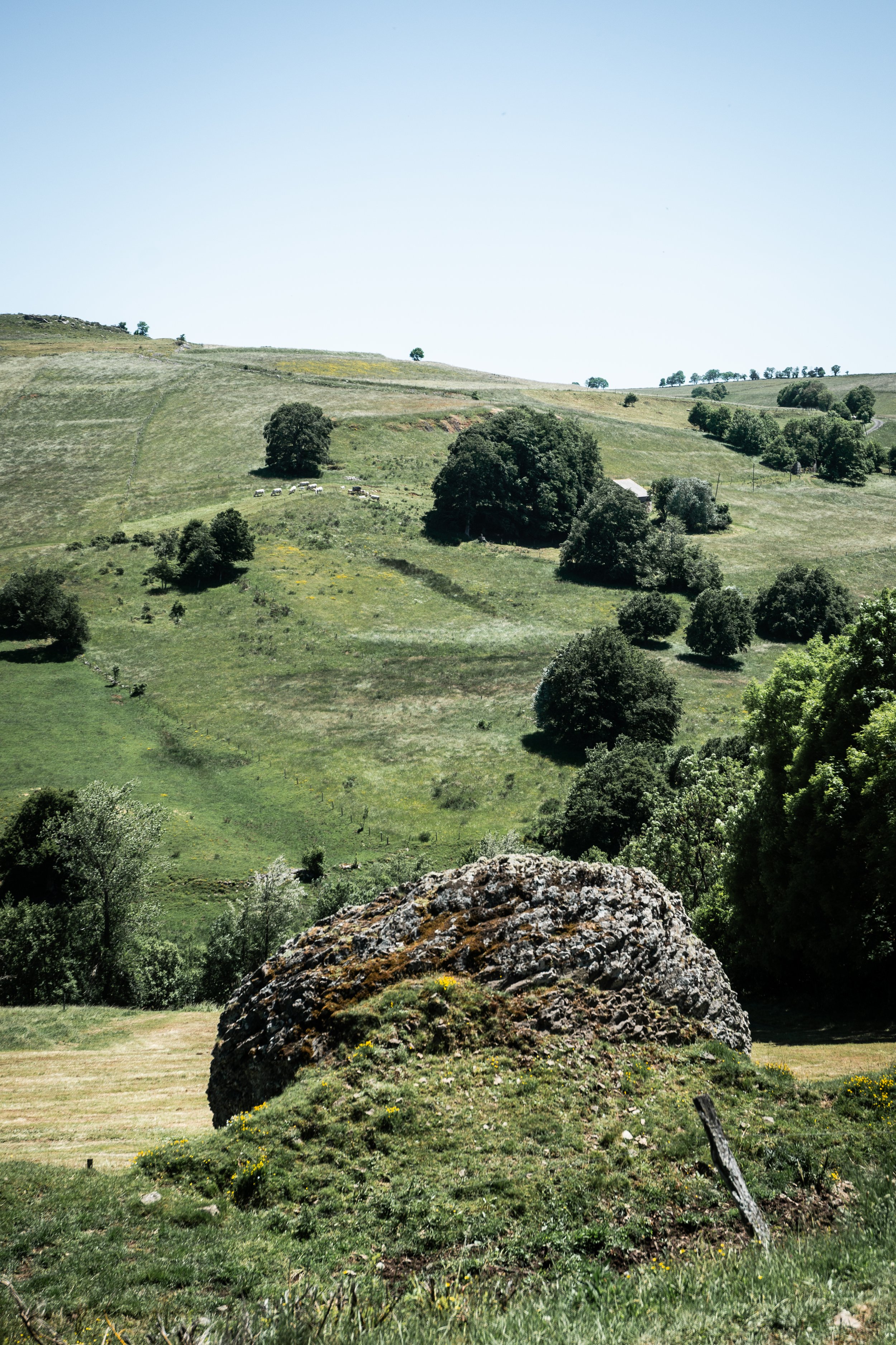 DSC_1874.jpg