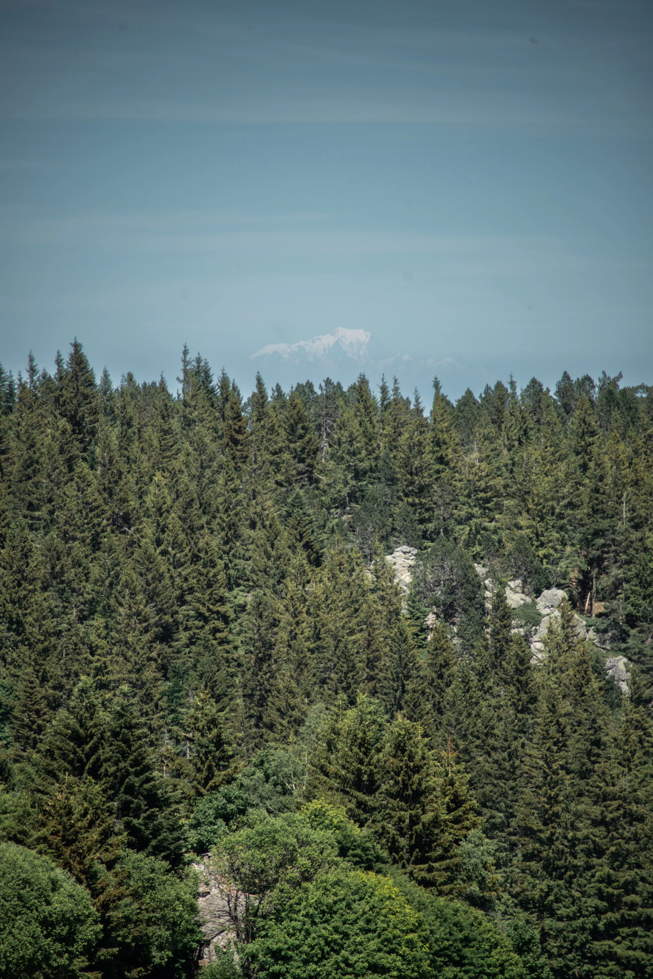 DSC_2014.jpg