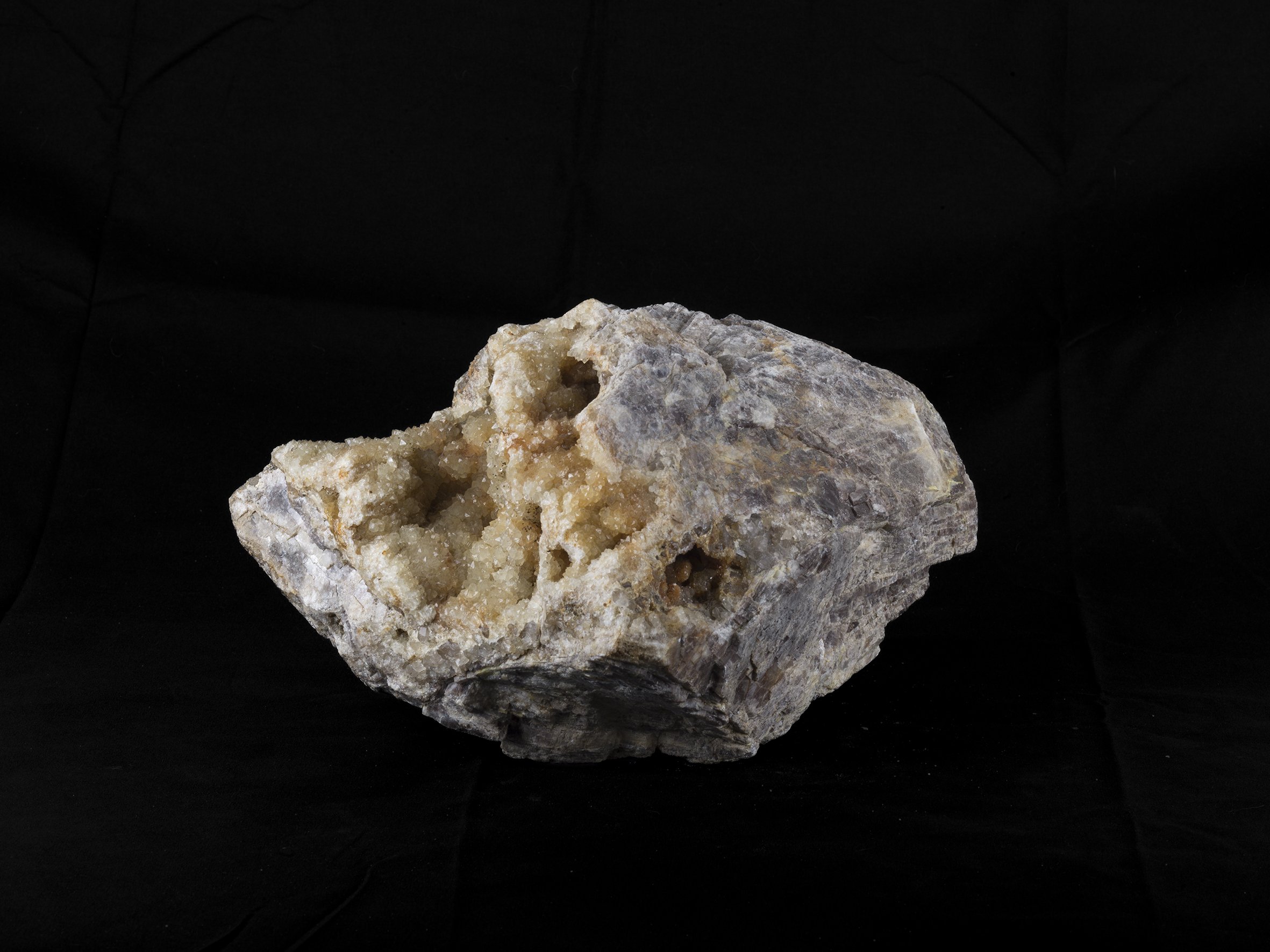 Tâche_0136 copie.jpg