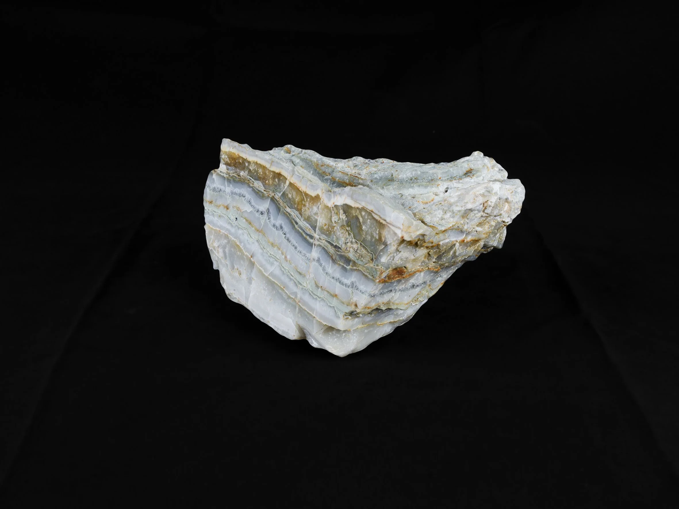 Tâche_0195 copie.jpg