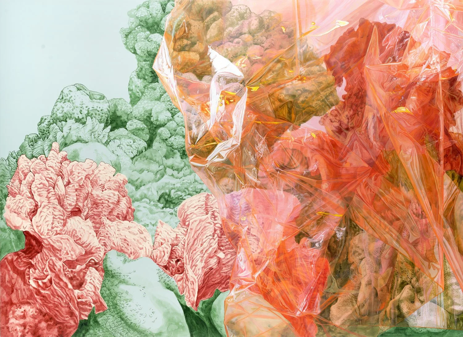 Korallen - 80x110cm