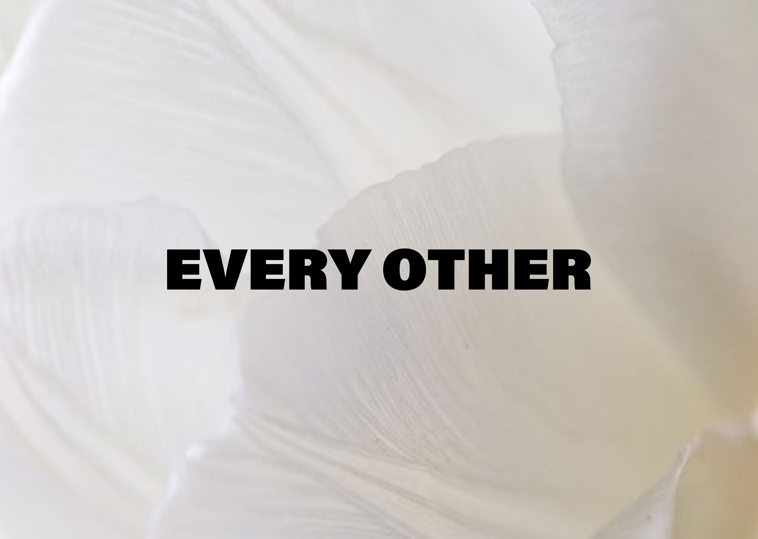 Brand Pack Every Other copy 2.jpg