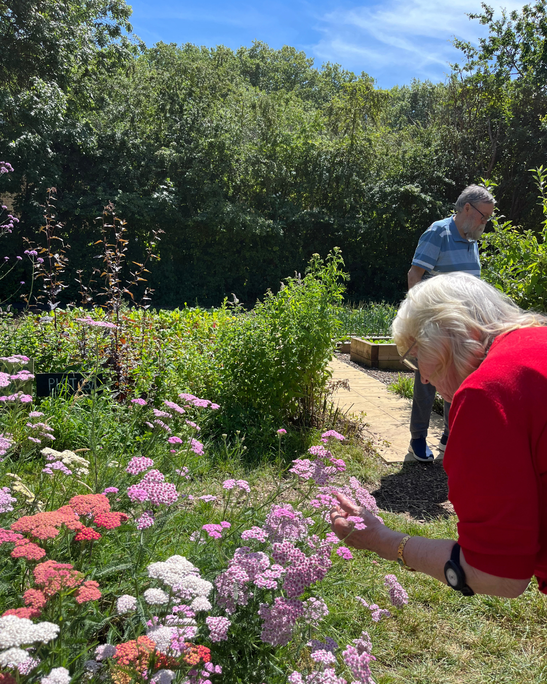 Green Dementia Wellbeing: Why Windmill Hill City Farm is the Perfect Place for a Dementia Day Club