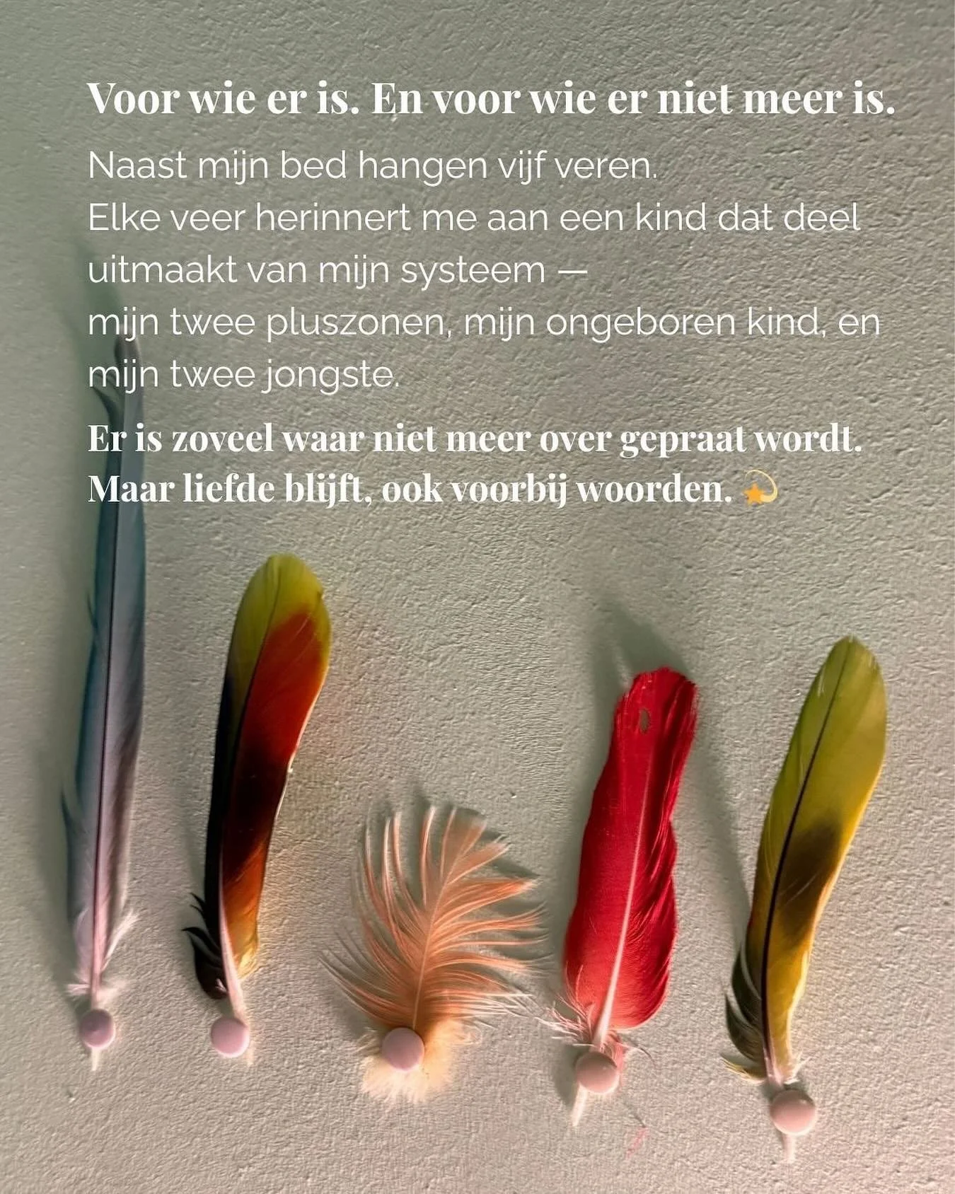 &ldquo;De vijf veren.&rdquo;

Voor wie er is. En voor wie er niet meer is.

Naast mijn bed hangen vijf veren &mdash;
elk symbool voor een kind dat deel uitmaakt van mijn systeem.
Mijn twee pluszonen, mijn ongeboren kind,
en mijn twee jongste.

Er is 