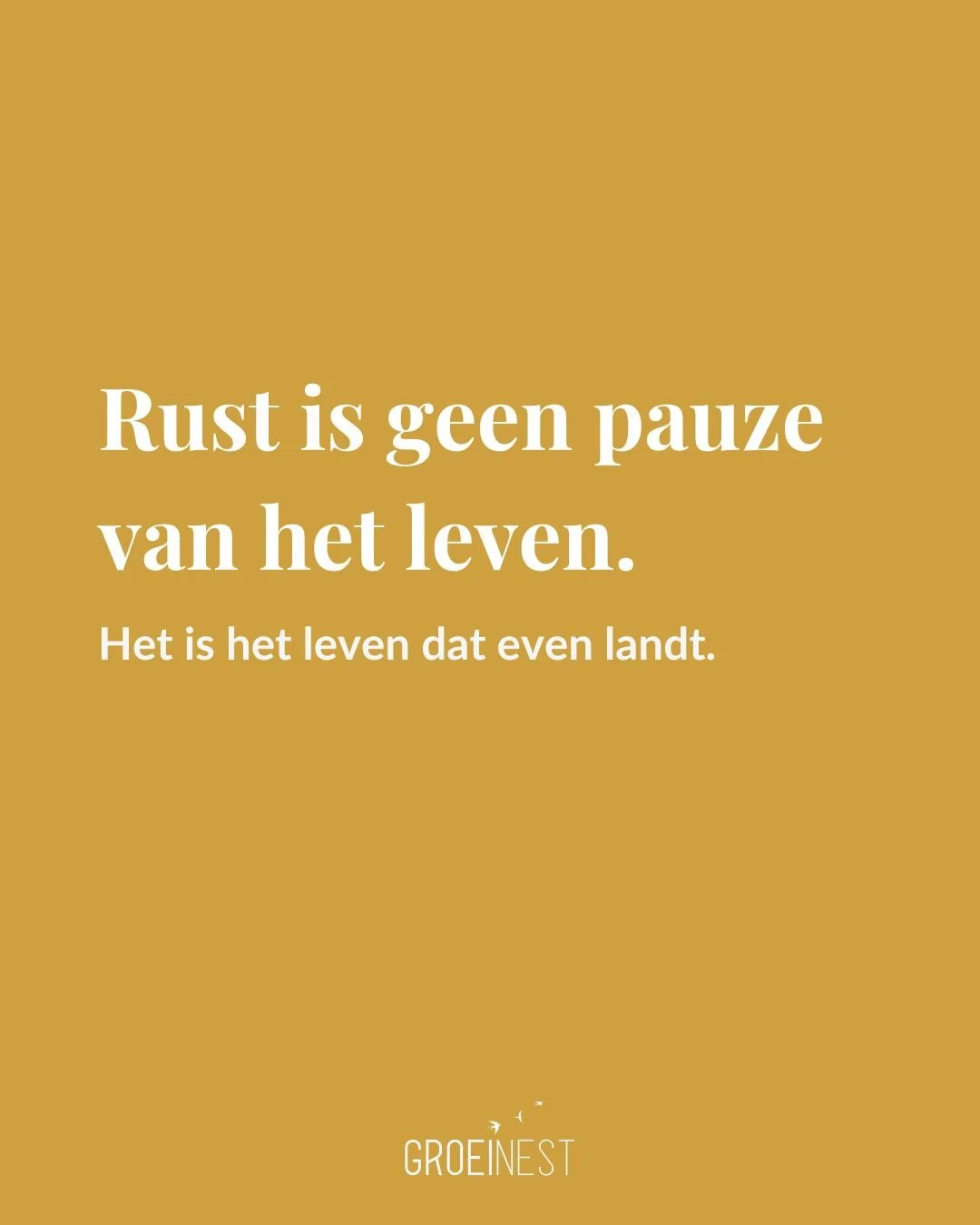 We leren al vroeg dat we moeten d&oacute;&oacute;rgaan.
Sterk zijn.
Productief zijn.
Altijd maar vooruit.

Maar echte kracht ligt ergens anders.
In dat kleine moment waarop je voelt:
ik hoef even niets.

Rust is geen pauze van het leven.
Het is het l