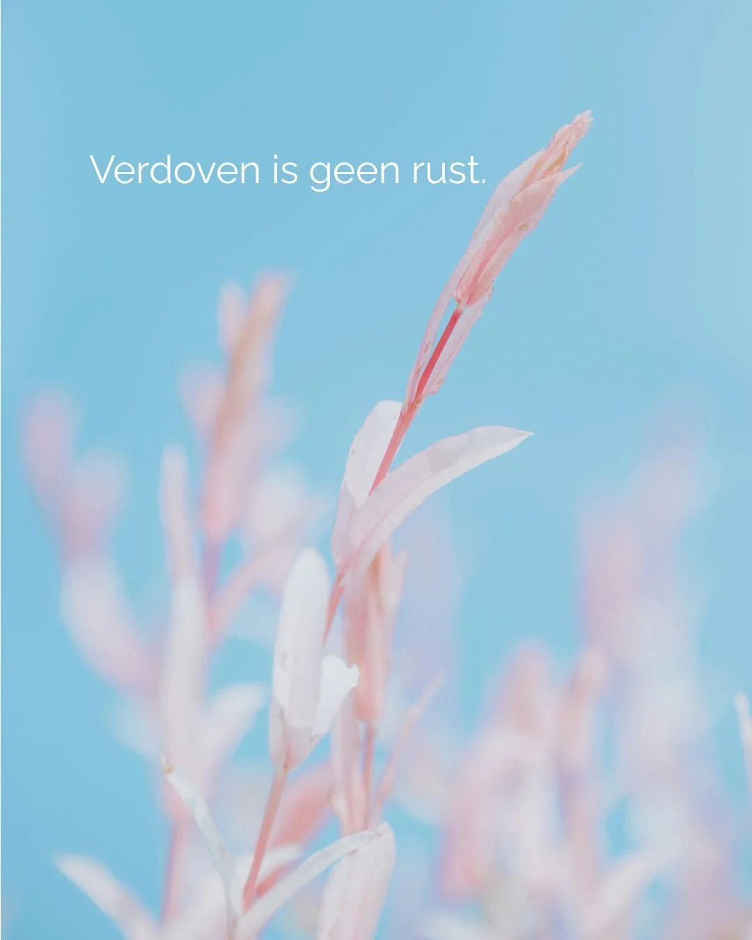 Verdoving is menselijk.�
Maar wat je wegduwt, komt vaak sterker terug.

Bij Groeinest mag je leren blijven bij wat gevoeld wil worden.