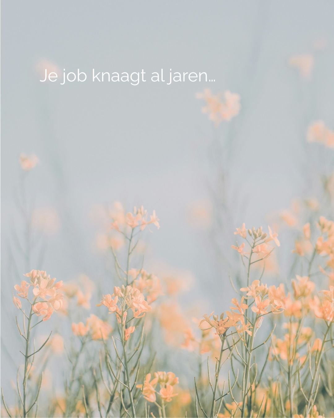 Niet elke verandering begint met ontslag nemen.�
Soms begint ze met voelen waar je jezelf bent kwijtgeraakt.

Dat vraagt tijd.�
En ruimte.