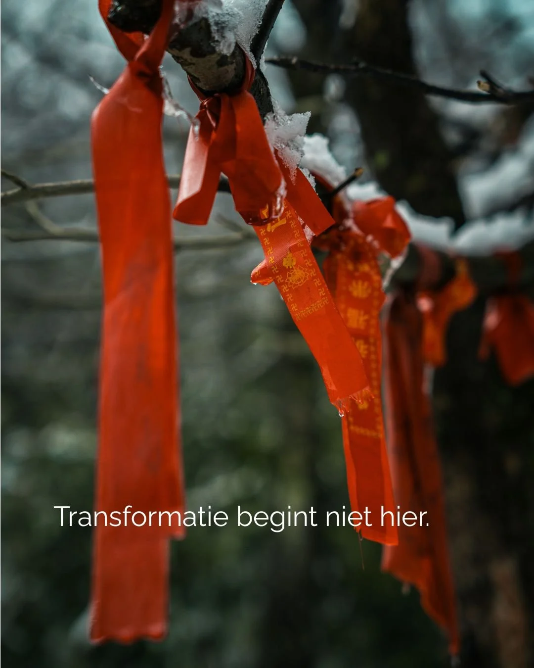 Groeinest werkt alleen als jij zelf voelt:�
ik ben klaar om te kijken.

Niet perfect.�
Wel eerlijk.