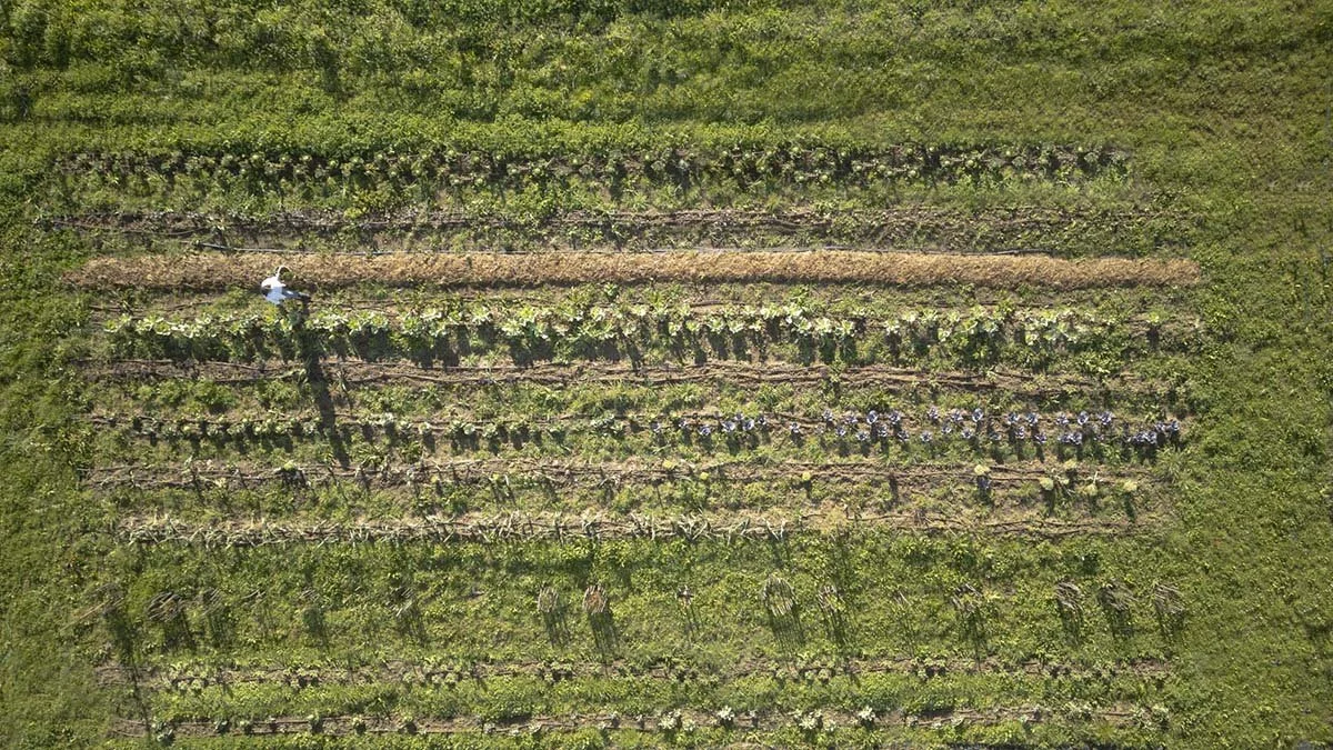 Soil. Soul. Sustenance.Why Its Health is Essential to Regenerative Farming