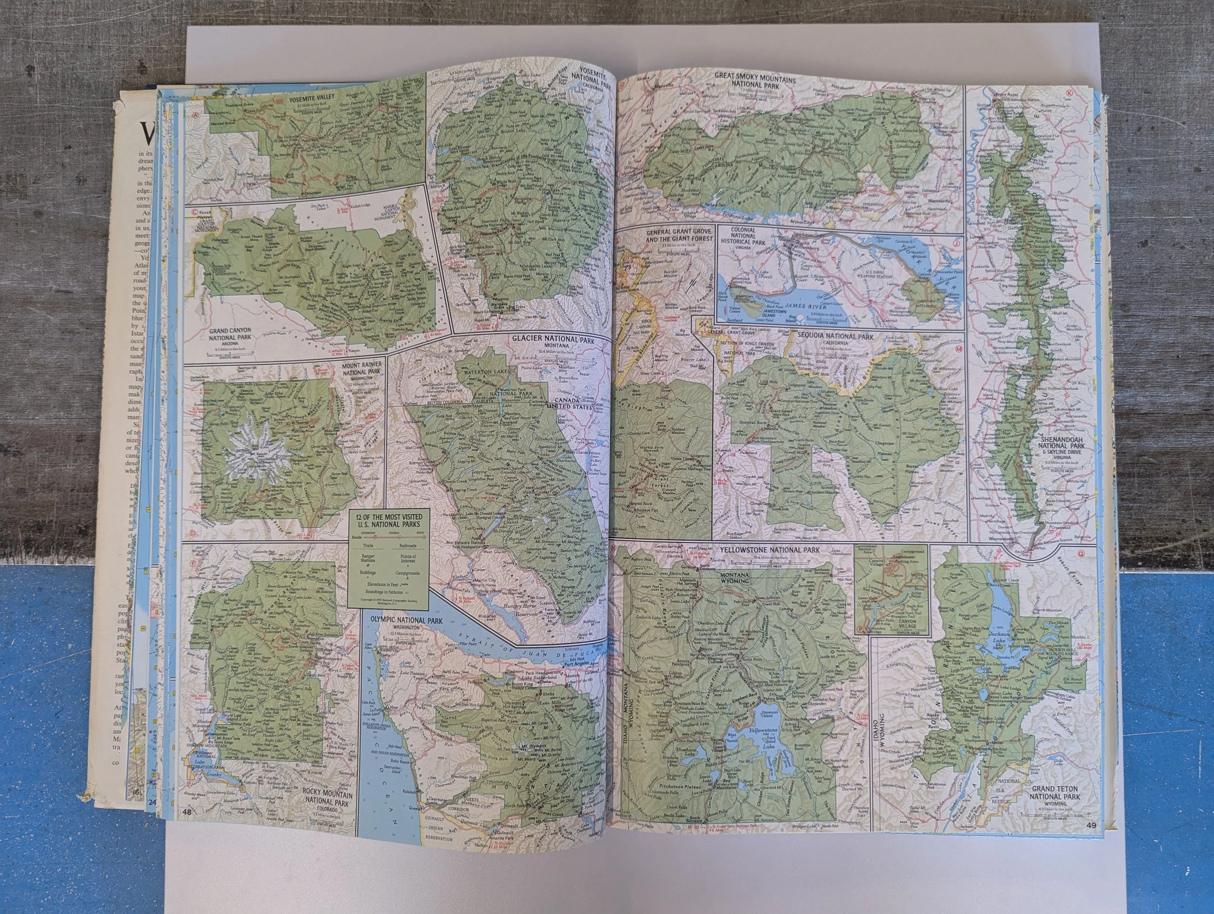 PXL_20250501_130723234.jpg