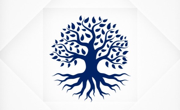 Conatus Advisors