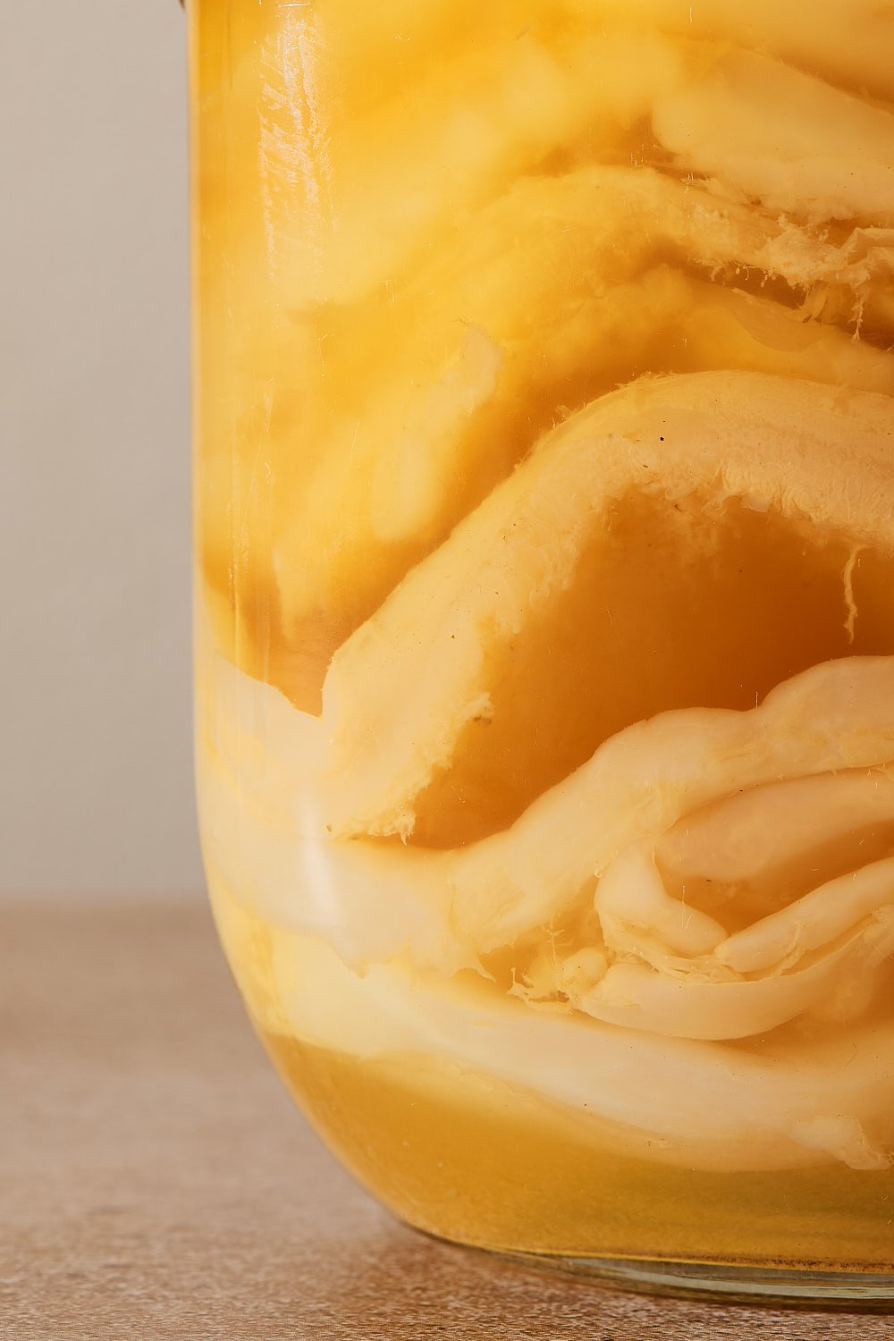 Kombucha_About_1227_Claudia Carmo.jpg