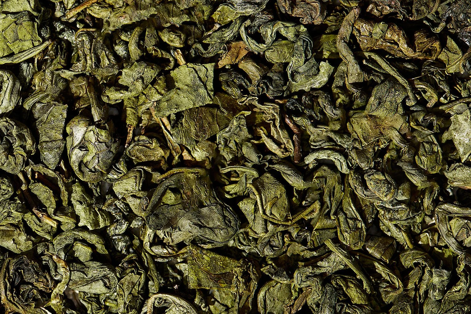 Kombucha_About_1223_Claudia Carmo 1.jpg