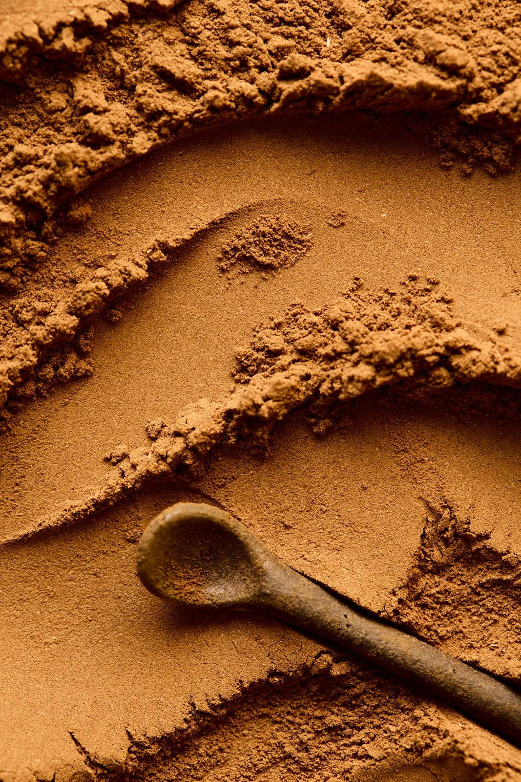 Claudia+Carmo++Food+Photographer+Portugal++Macro+Shot+Star+Cinnamon.jpg