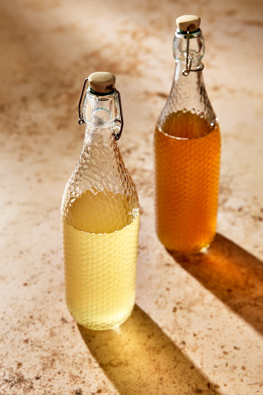 Kombucha_About_1228_Claudia Carmo.jpg