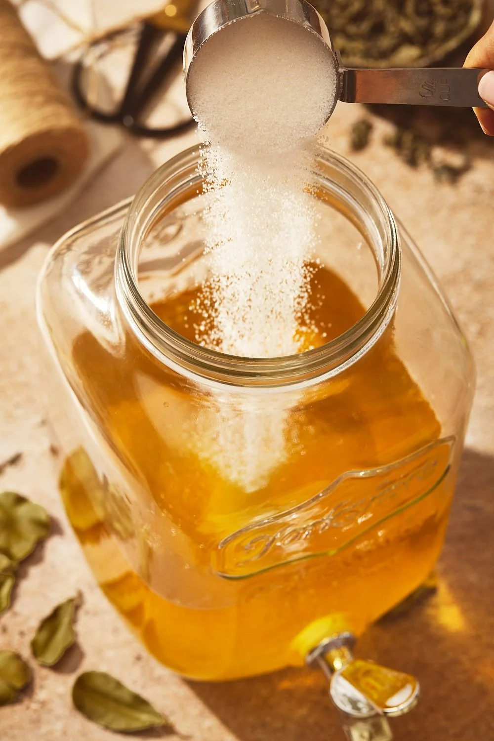 Kombucha Stories - About Magazine