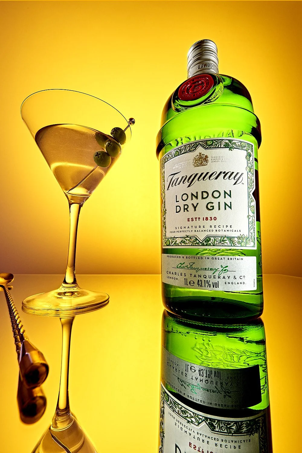 Tanqueray Dirty Martini_1333_.jpg
