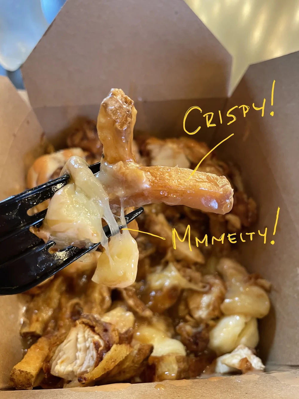 PotatoPit_PoutineChickenMelty_MILunchGuy.JPG