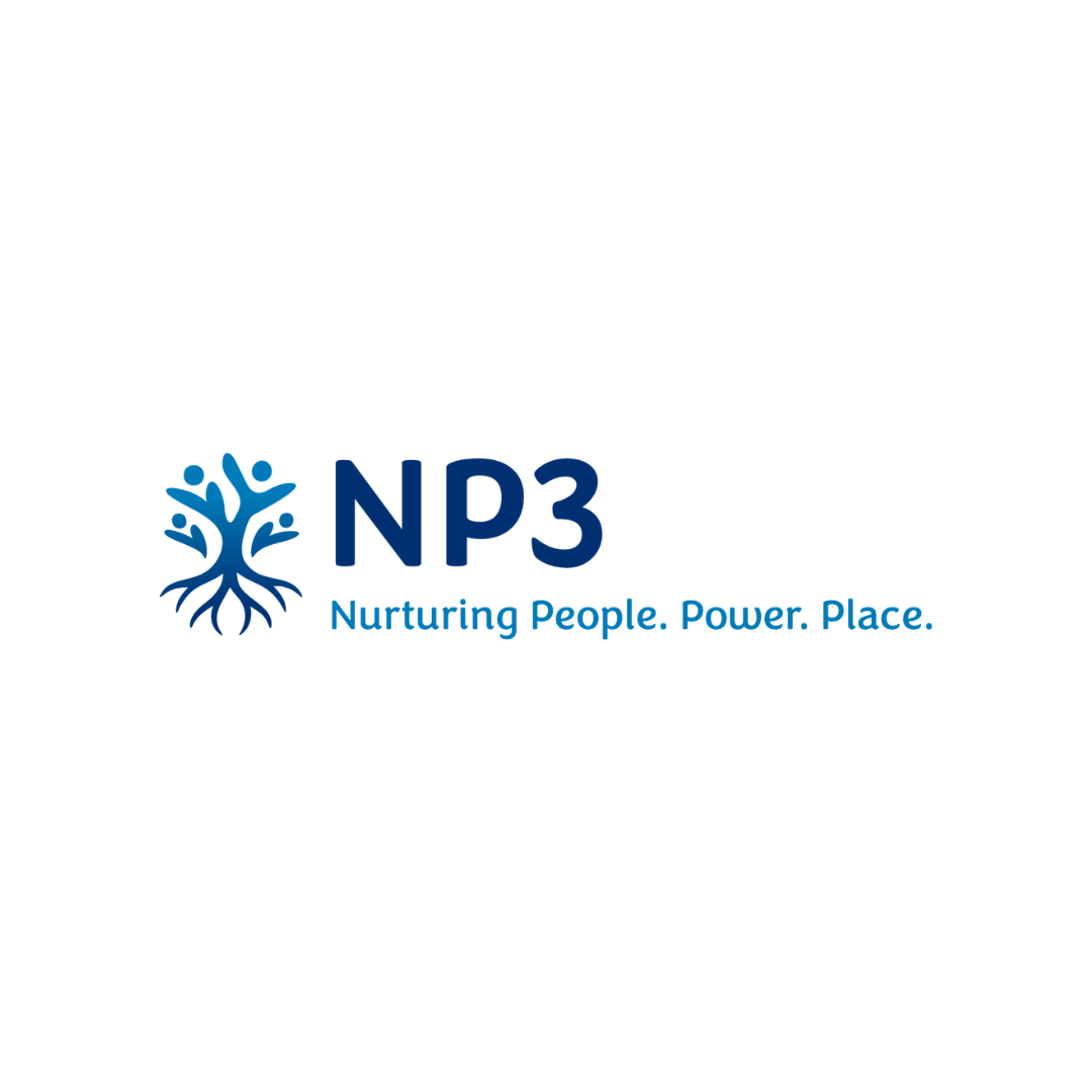 np3 logo