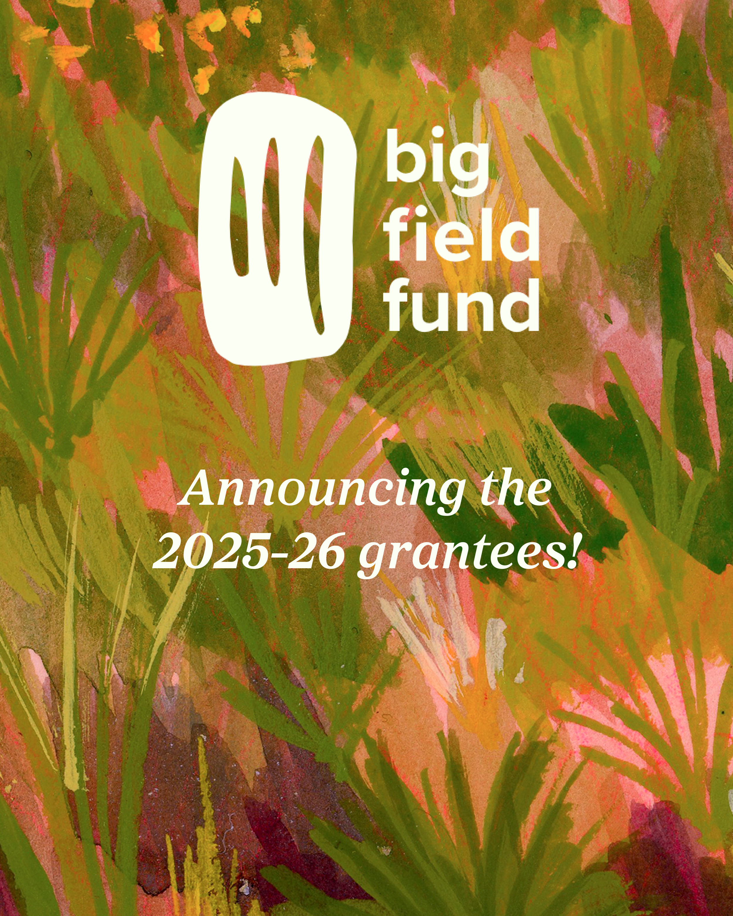 Announcement | a new cohort of BFF Grantees!